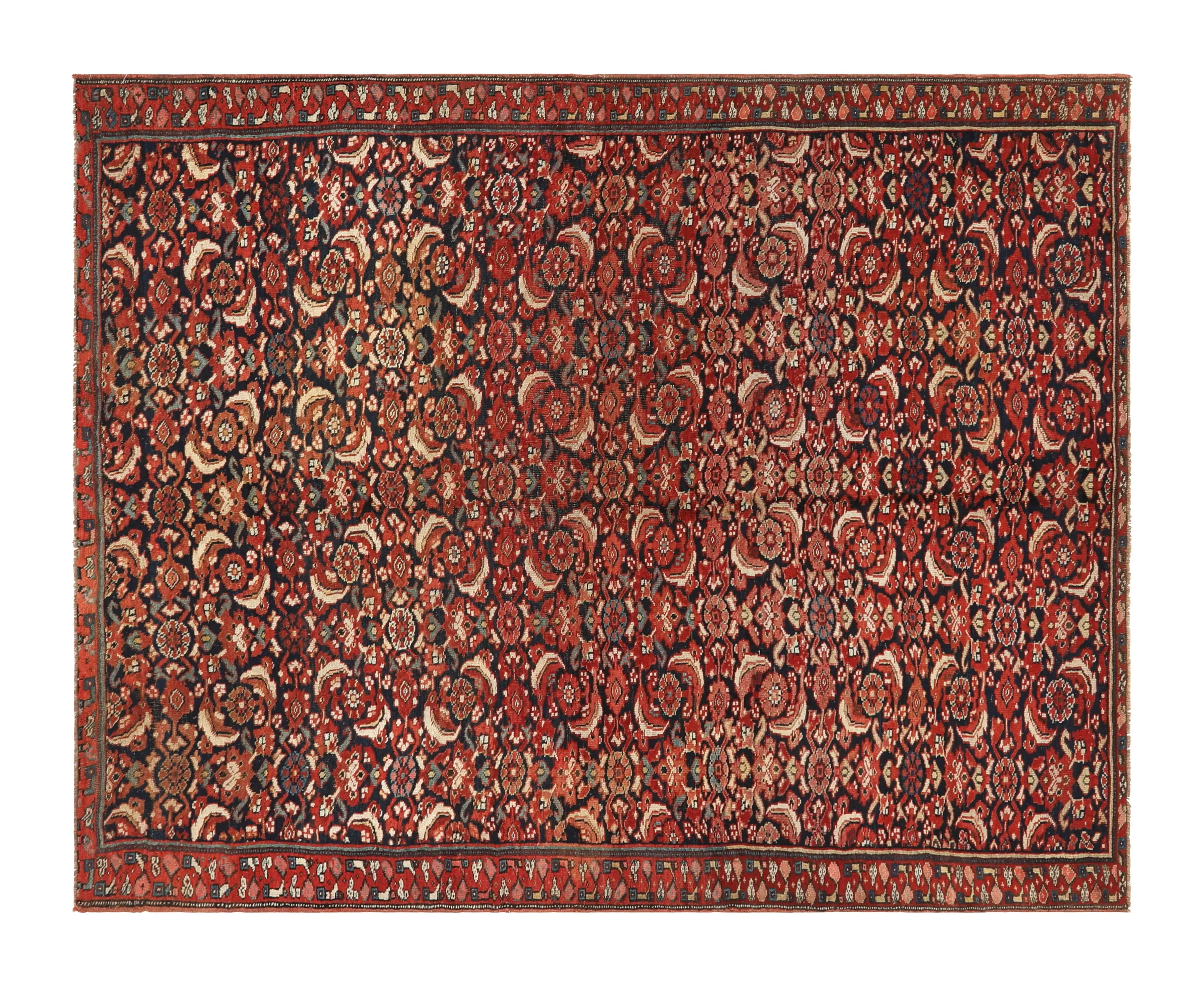 Bidjar Area Rug - Wool