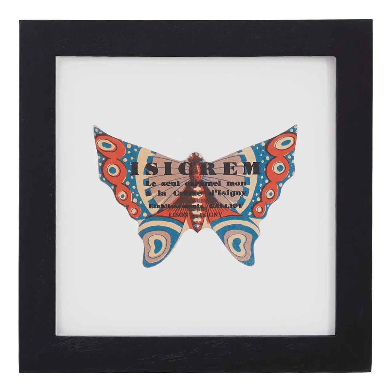 Blue Butterfly Framed Print - Black Wood image