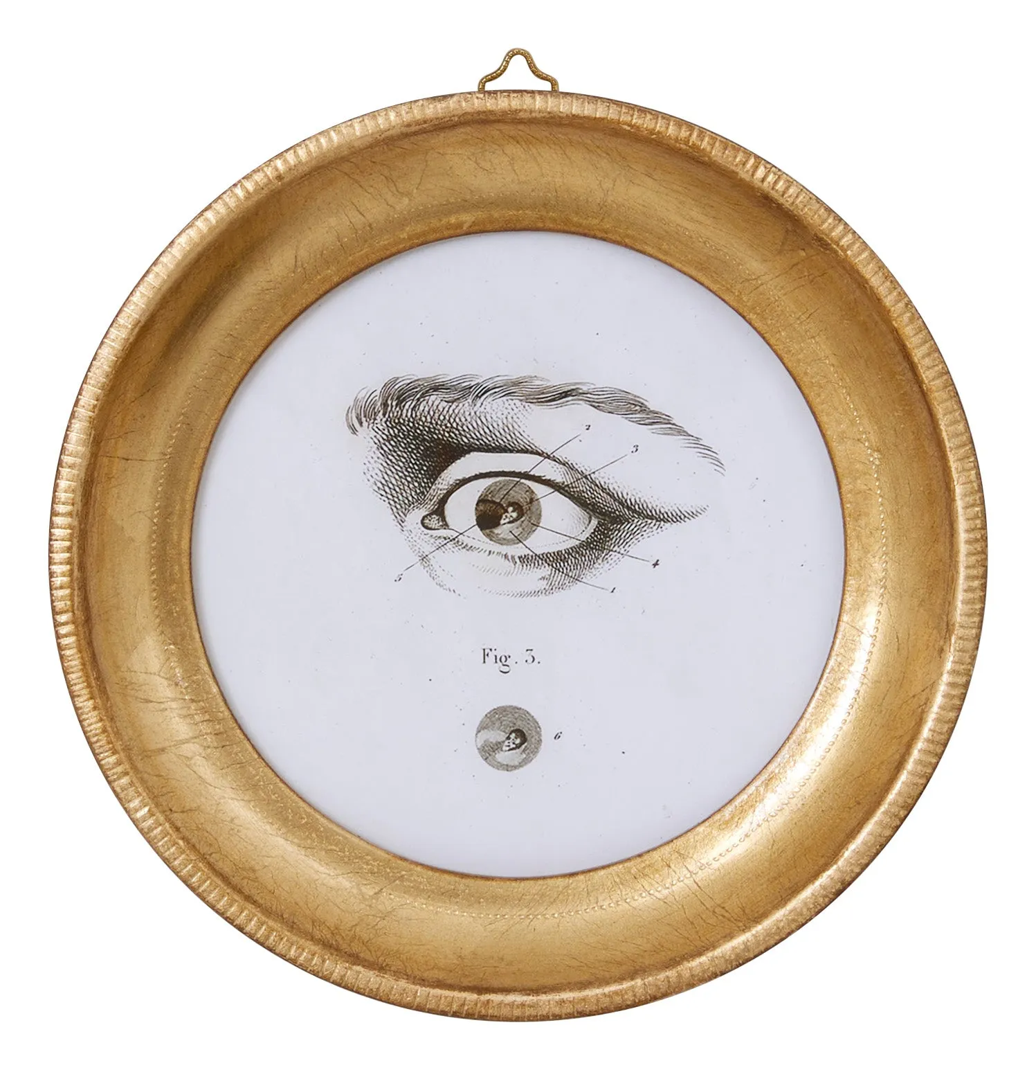 L'Oeil Study Round Wall Art - Gilded Wood Frame image