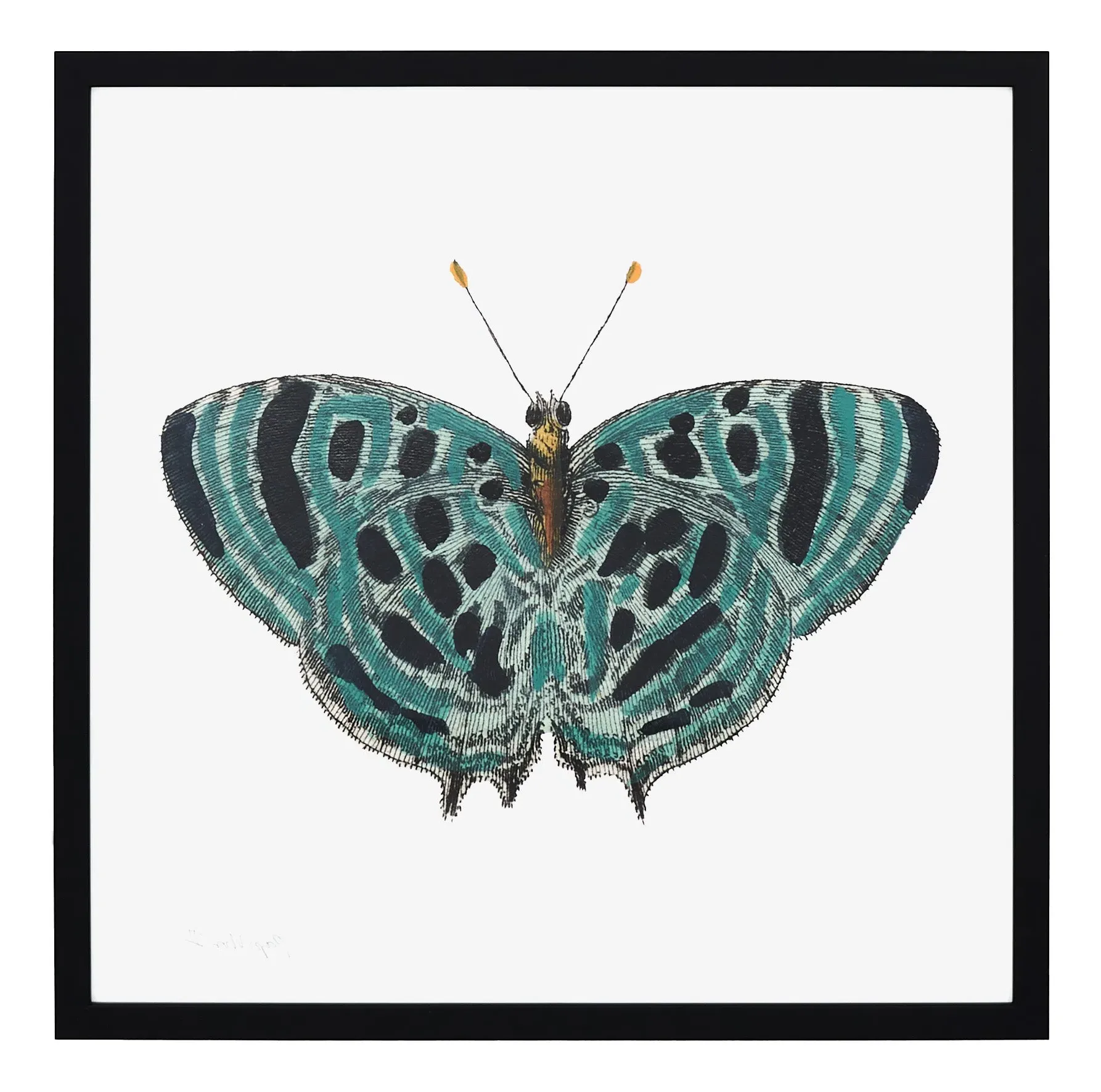 Papillon II Framed Art Print - Black image