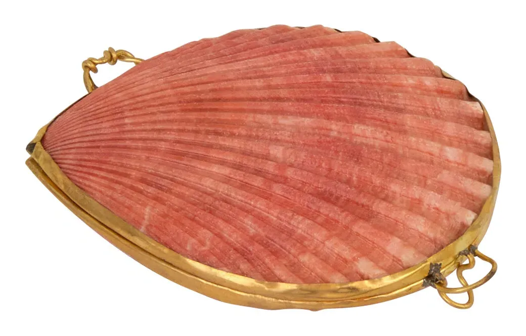 Pecten Shell Stash Box - Natural image