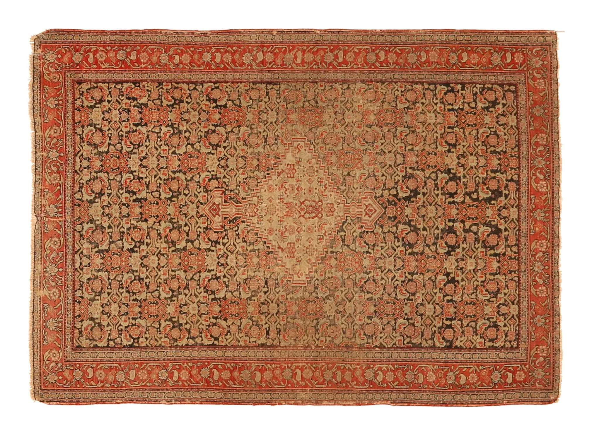 Senneh Hand Knotted Rug - Wool