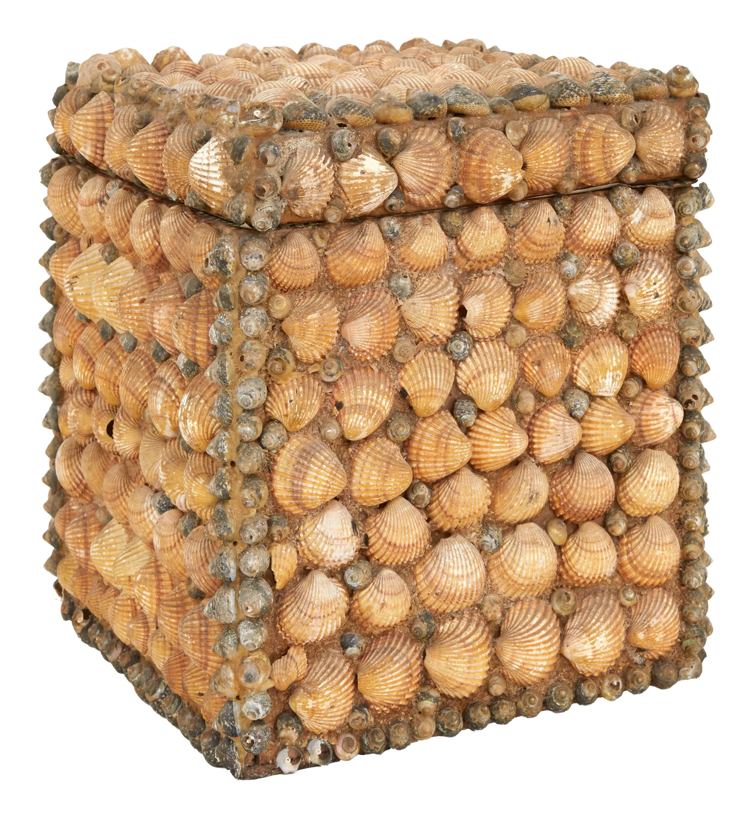 Shell Encrusted Storage Box - Wood image
