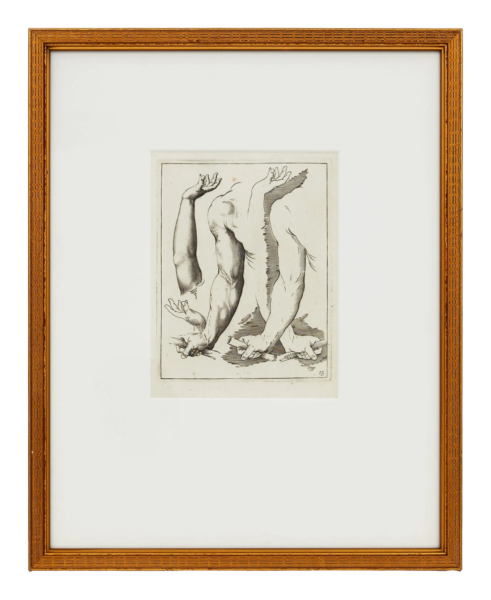 Vintage Arm Study III Engraving - Gilt Wood Frame image