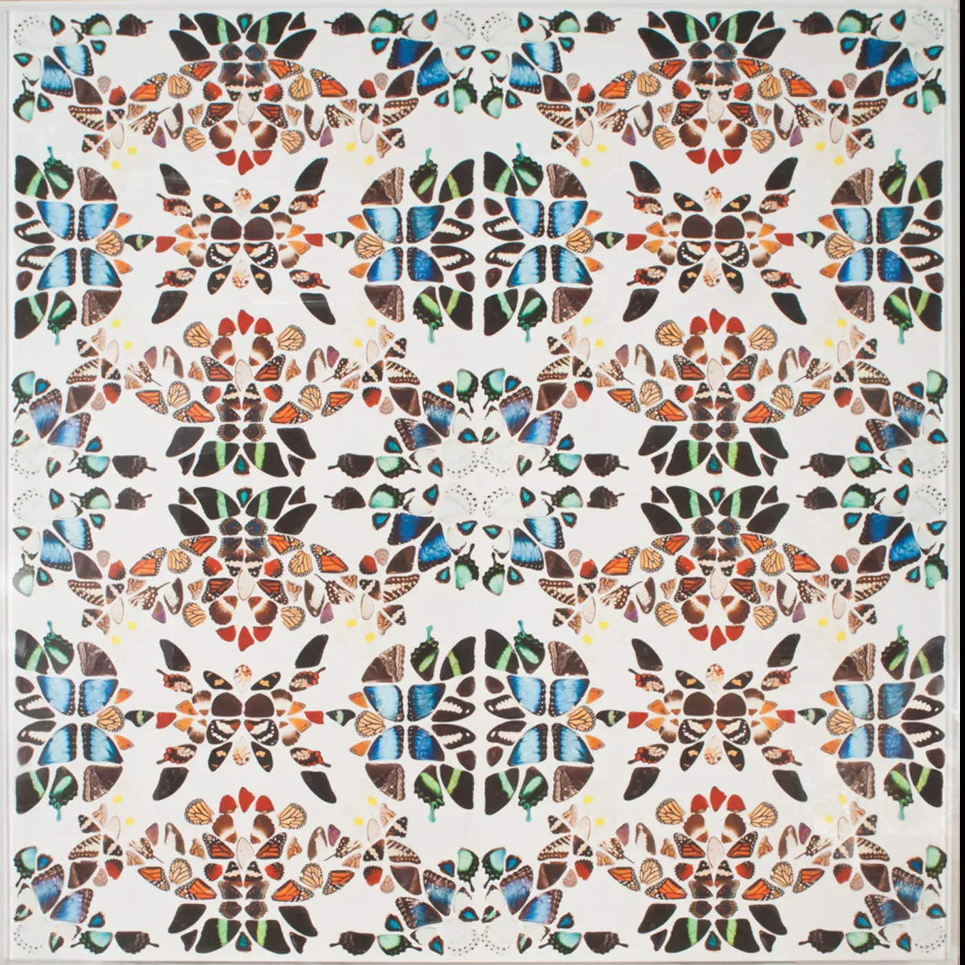 Butterfly Patterns 1 Framed Wall Art - Archival Paper product