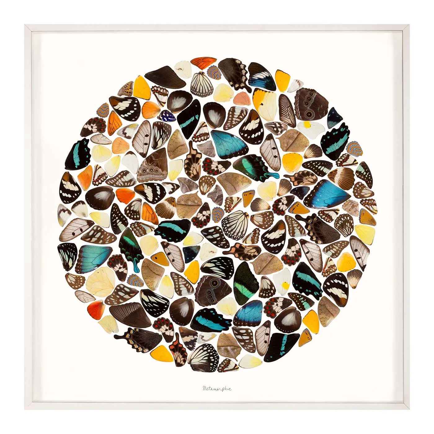 Jonathan Adler Metamorphic Mosaic Design product