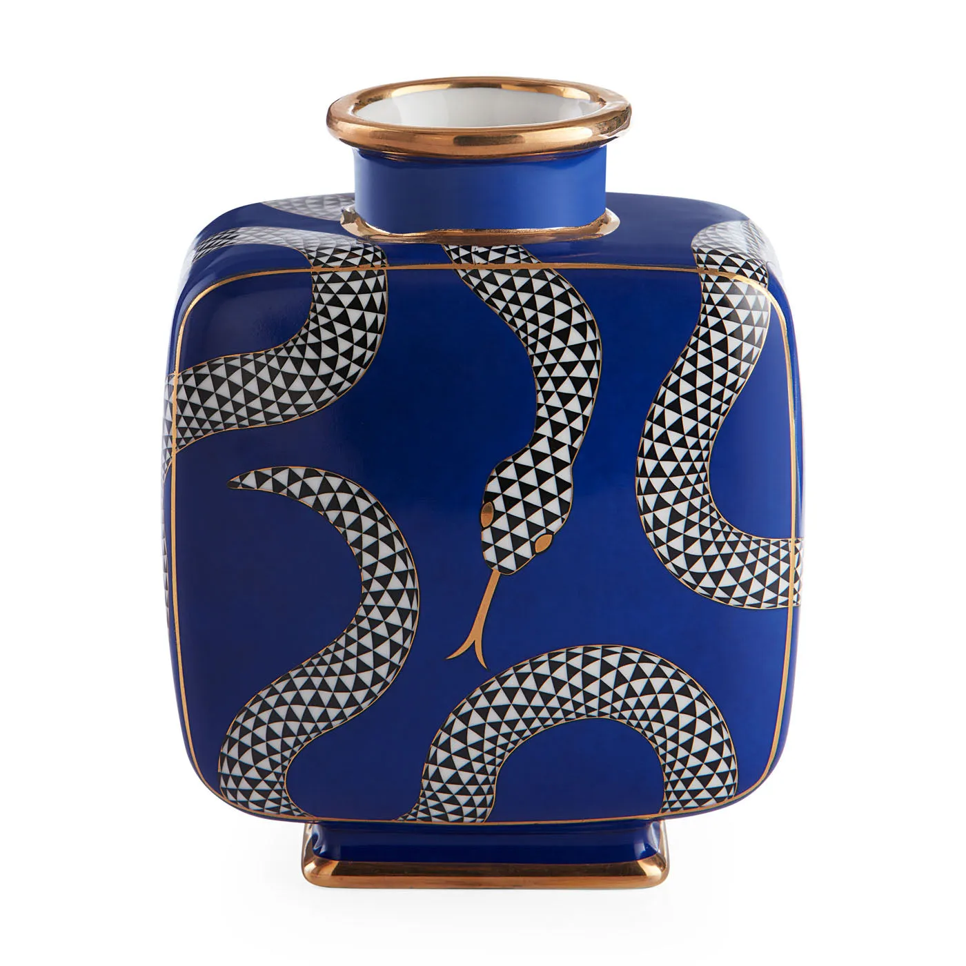 Eden Square Vase with Serpent Detail - Gold Accent product