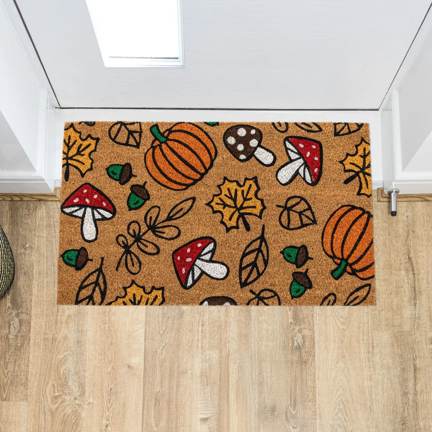 Autumn Latex Backed Coir Entrance Doormat - Brown product
