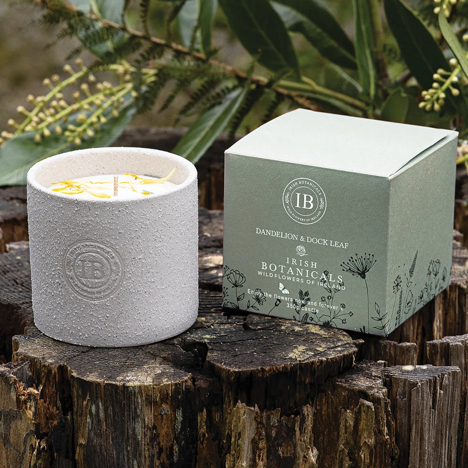 Botanical Candle with Dried Flowers - White