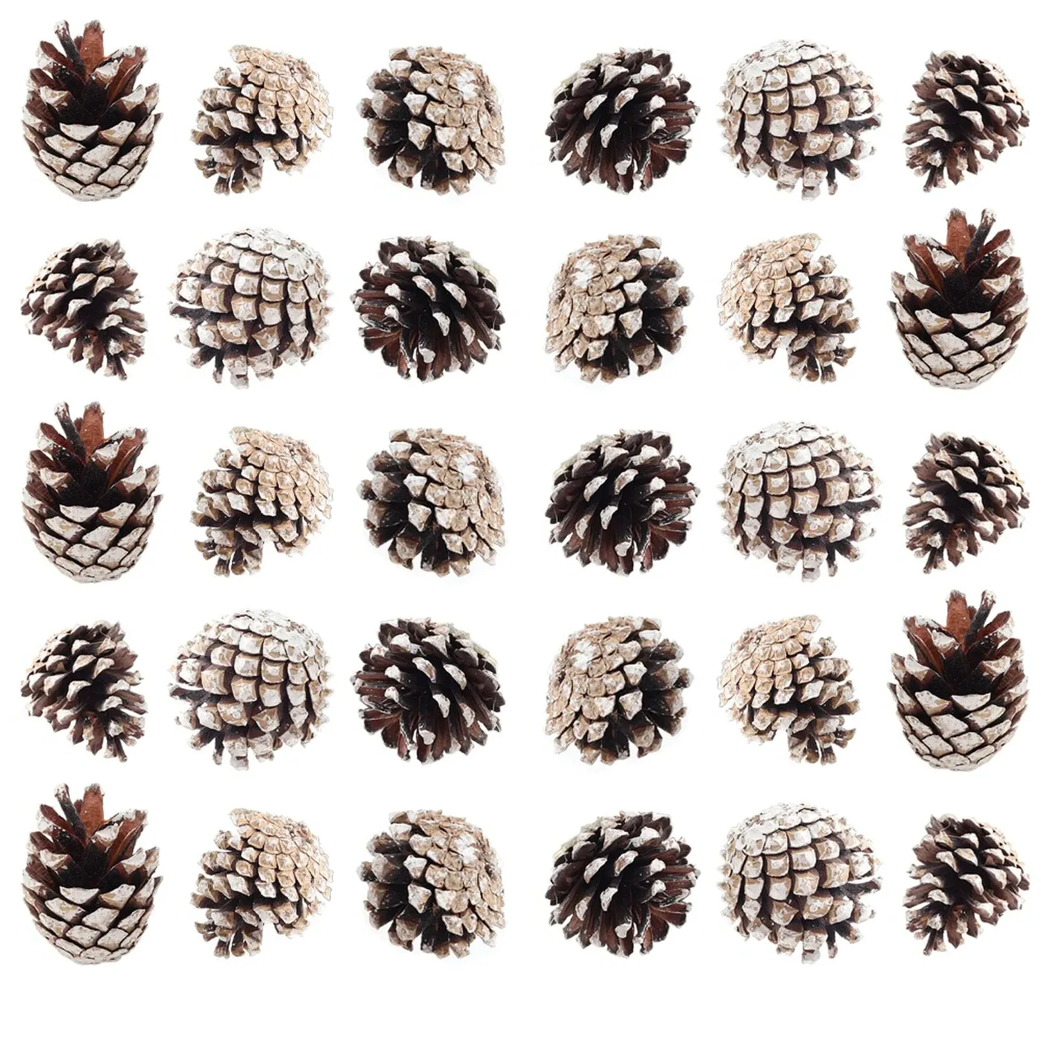Dyed Pine Cone Christmas Ornaments 30 Pack - Brown by Julian Charles