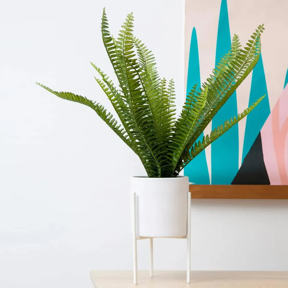 Faux Fern Plant with Stand - White, Cement