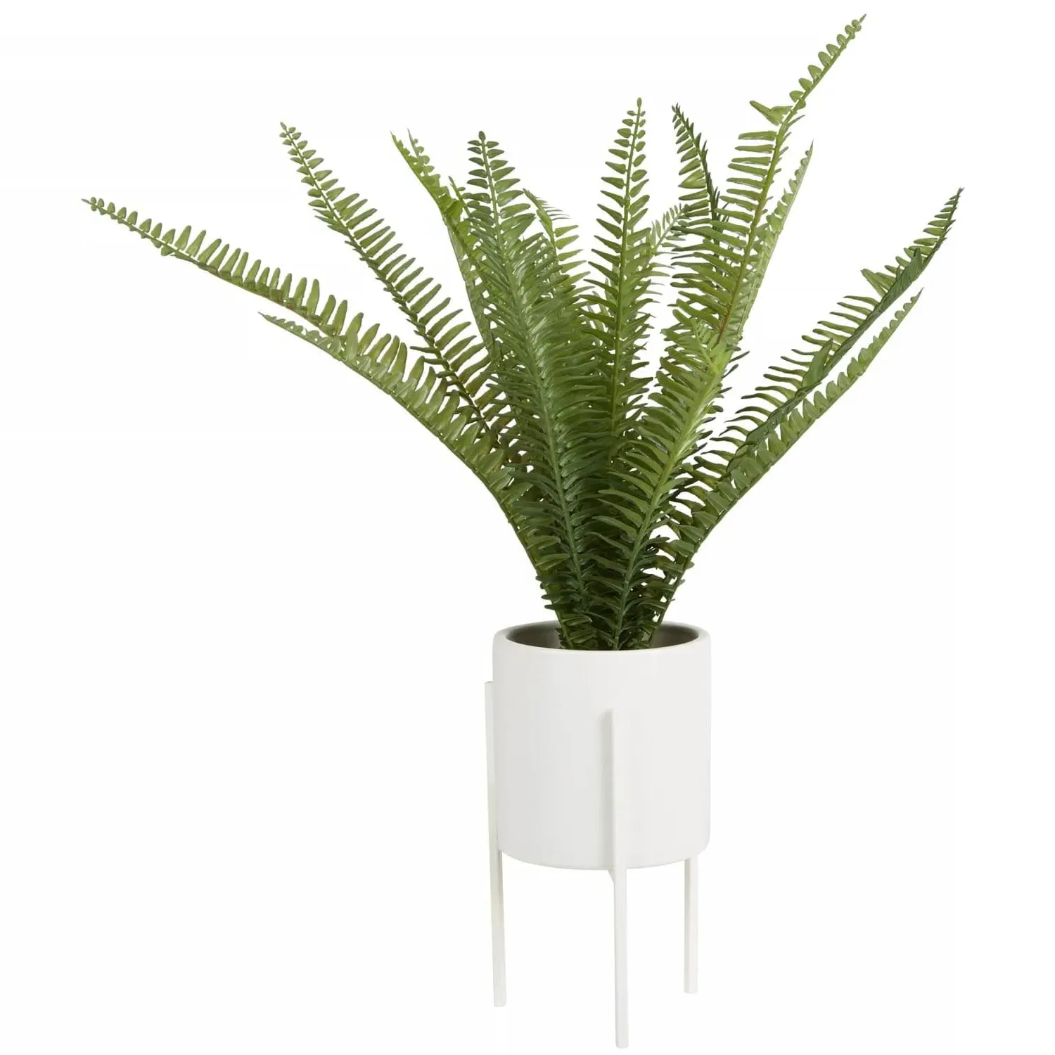 Faux Fern Plant with Stand - White, Cement