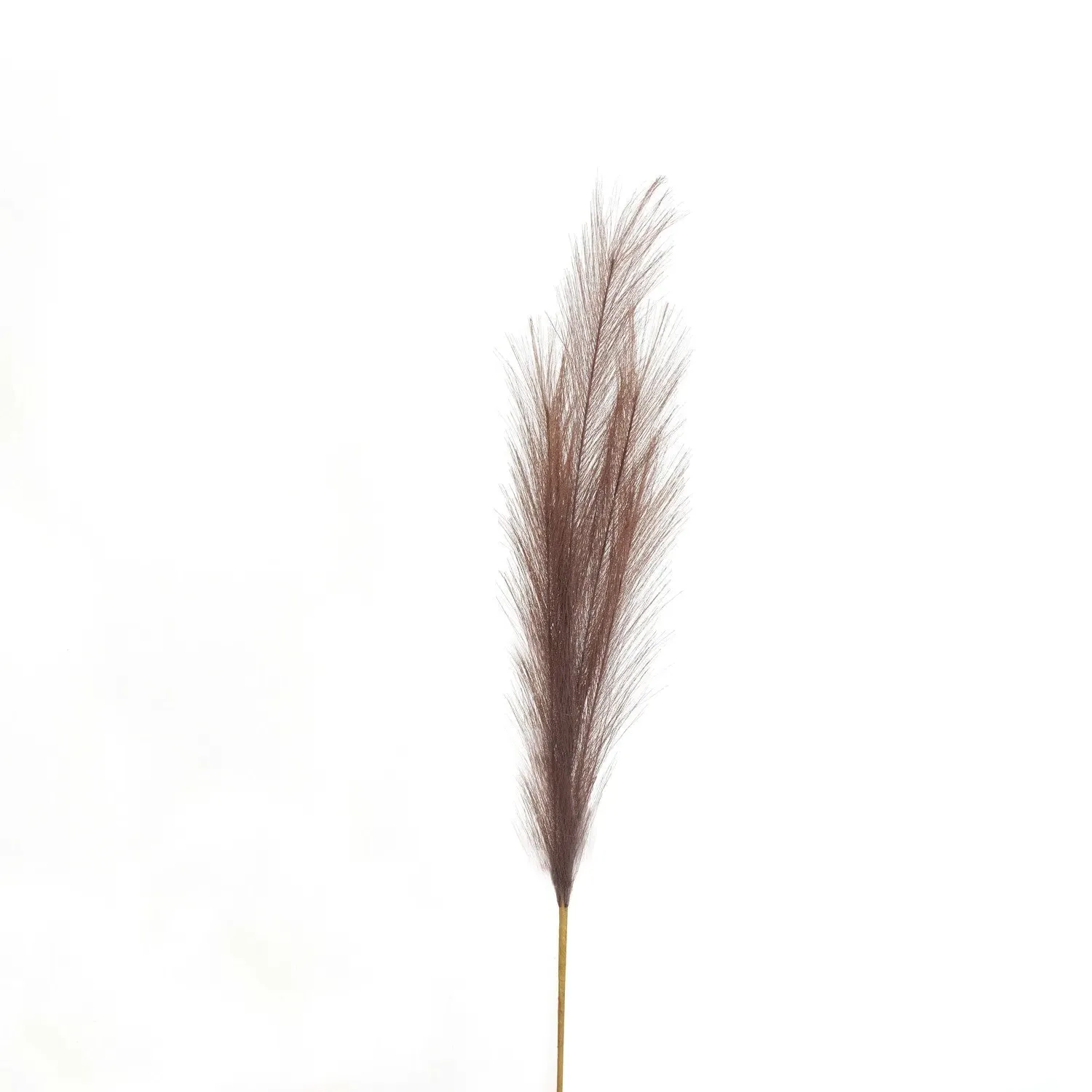Faux Pampas Grass Stem - Brown image
