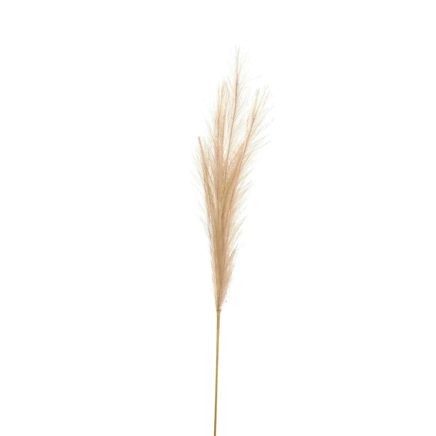 Faux Pampas Grass Stem - White