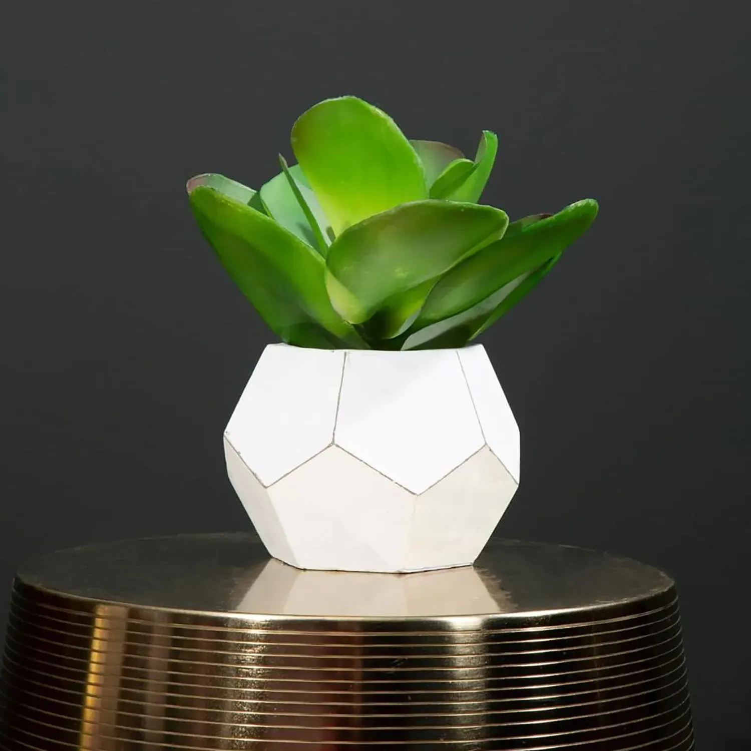 Faux Succulent Plant - Green, Cement Pot