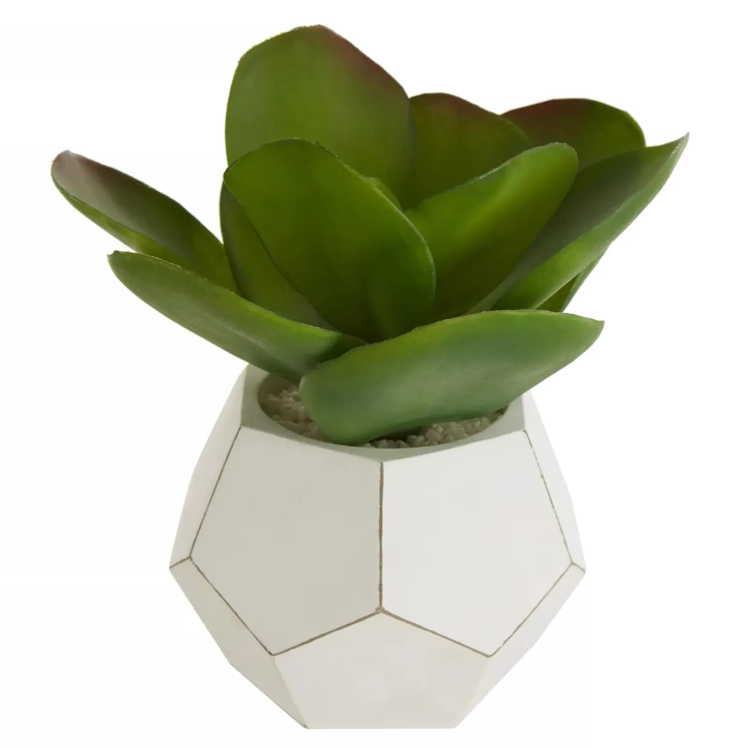 Faux Succulent Plant - Green, Cement Pot image