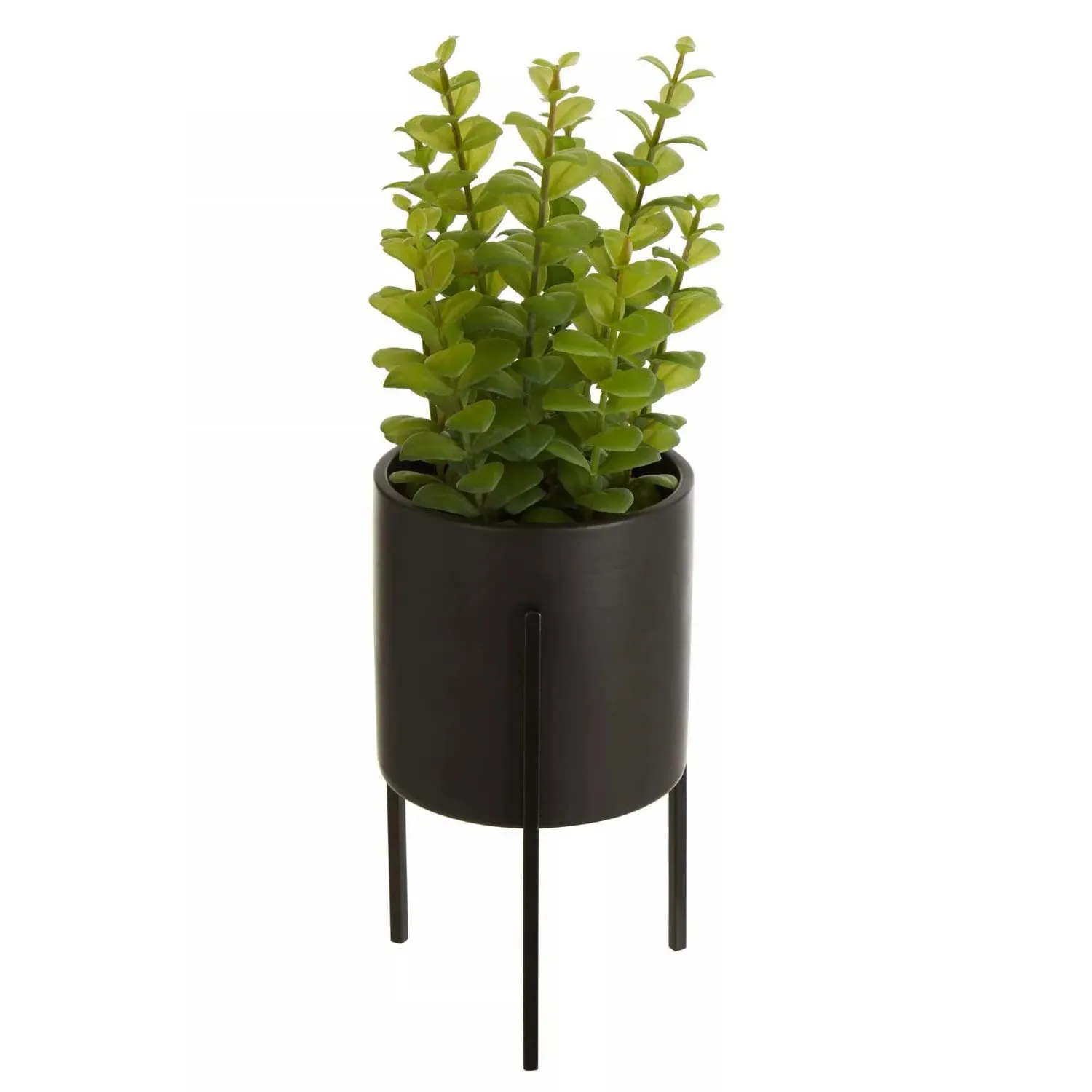 Faux Thyme Plant with Stand - Black, Concrete