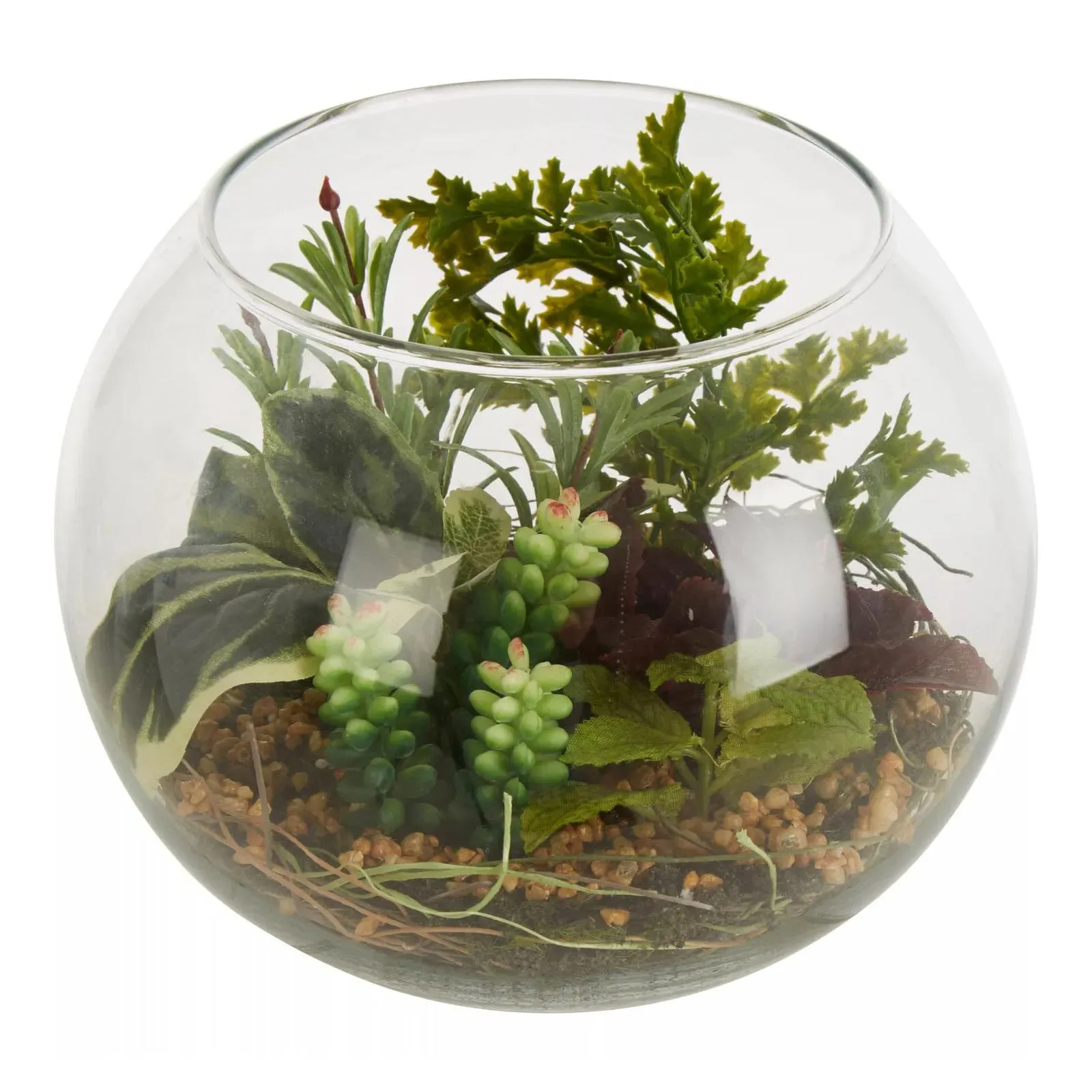Glass Terrarium Mixed Succulent - Clear Glass