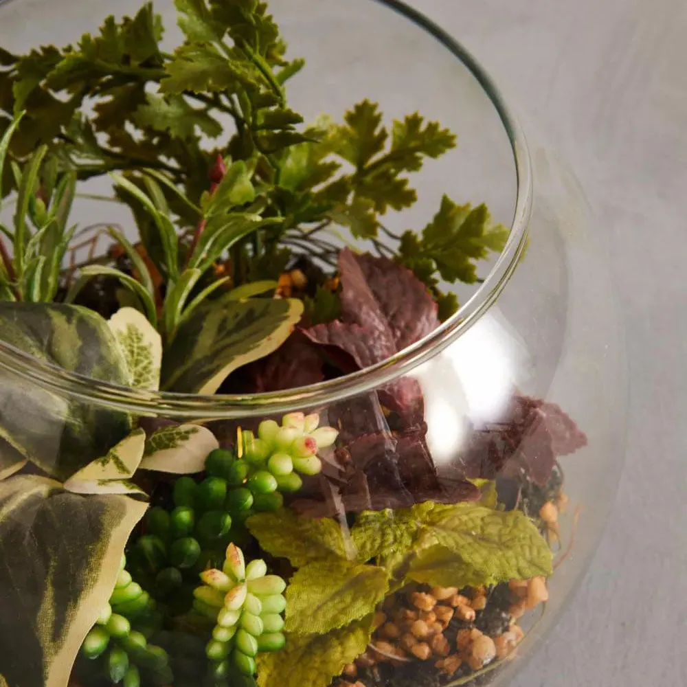 Glass Terrarium Mixed Succulent - Clear Glass