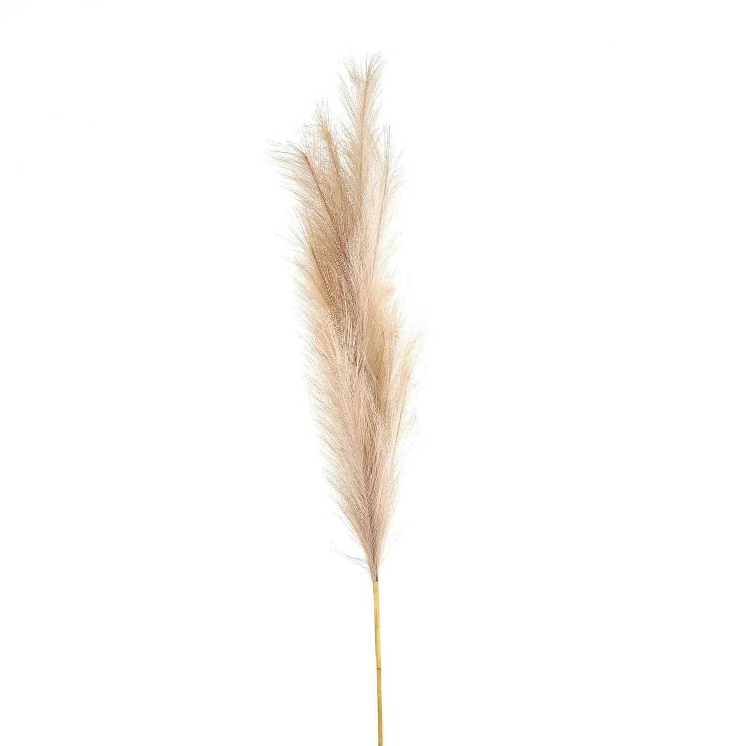 Large Faux Pampas Grass Stem - White