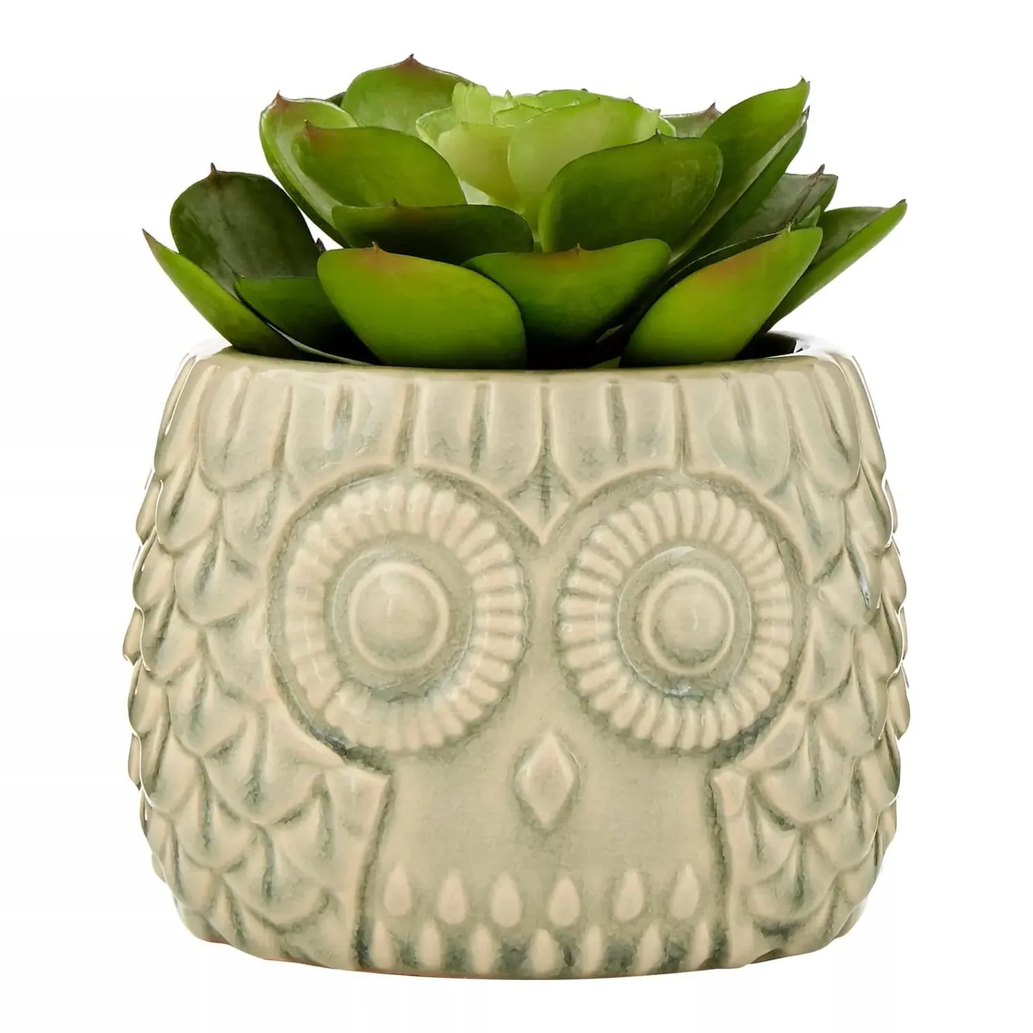 Large Faux Succulent in Owl Pot - Grey, Ceramic image