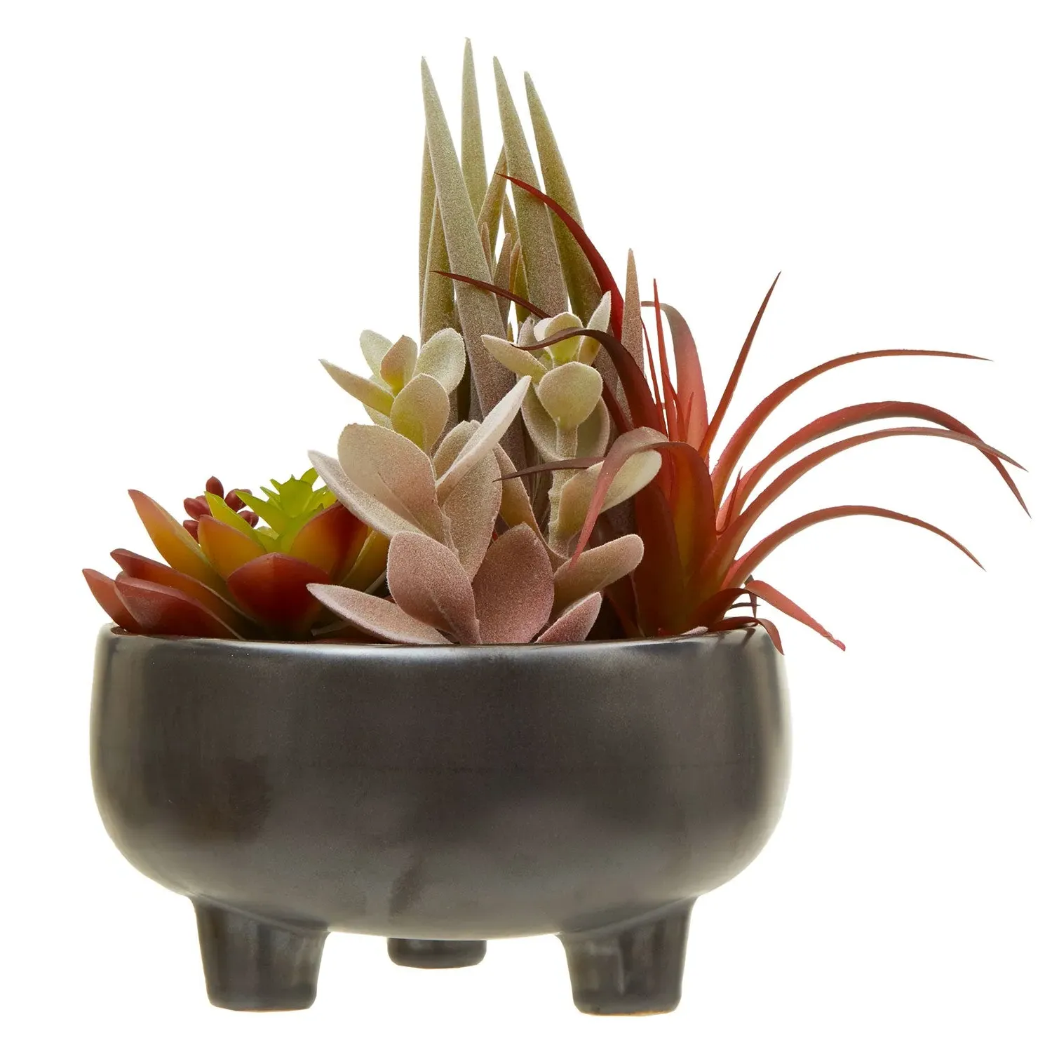 Large Mixed Succulents Arrangement - Grey, Ceramic