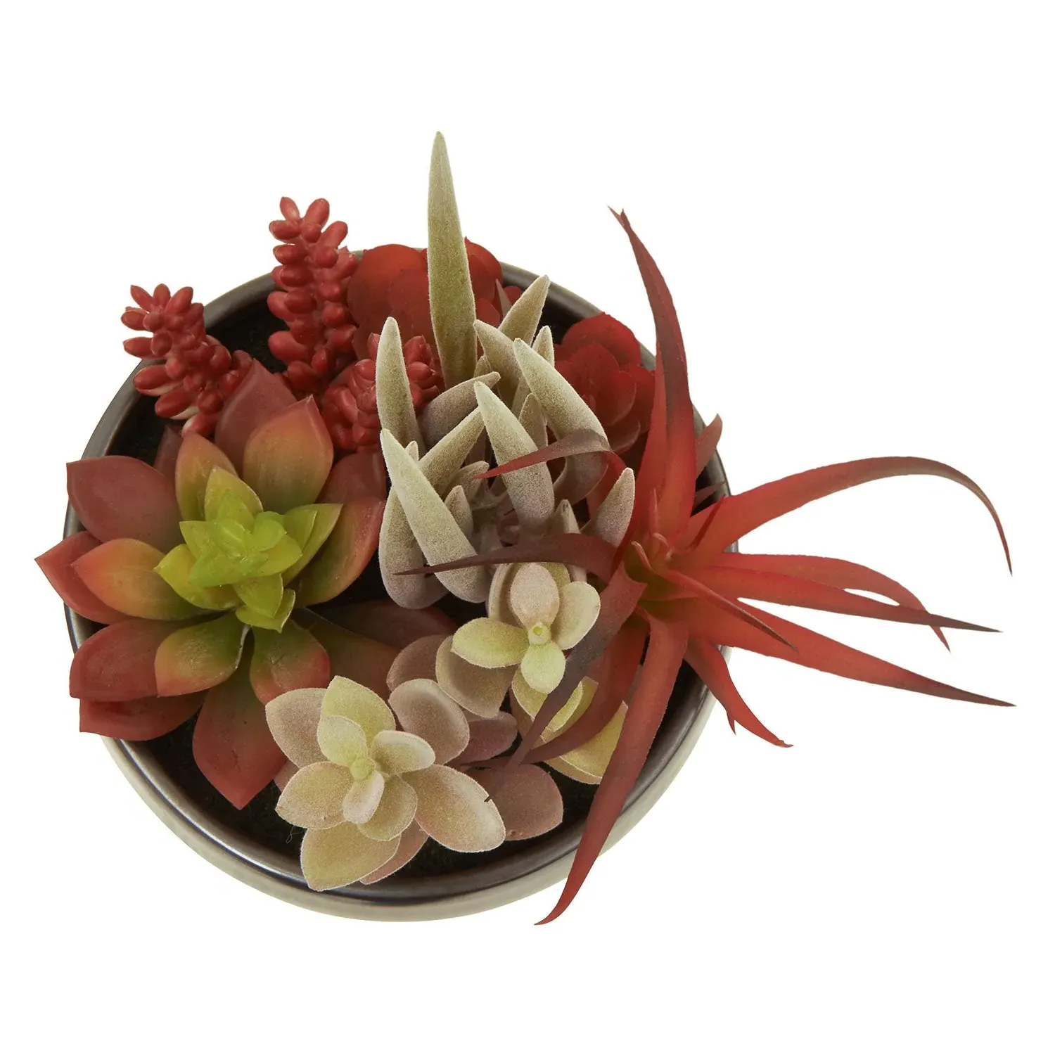 Large Mixed Succulents Arrangement - Grey, Ceramic
