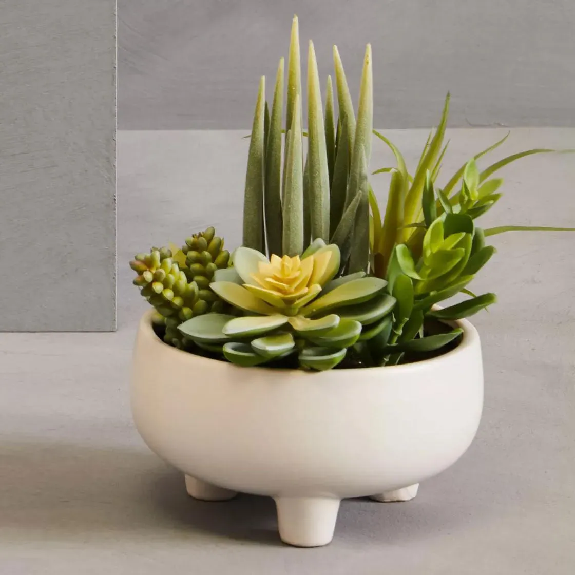Large Mixed Succulents Arrangement - White, Ceramic