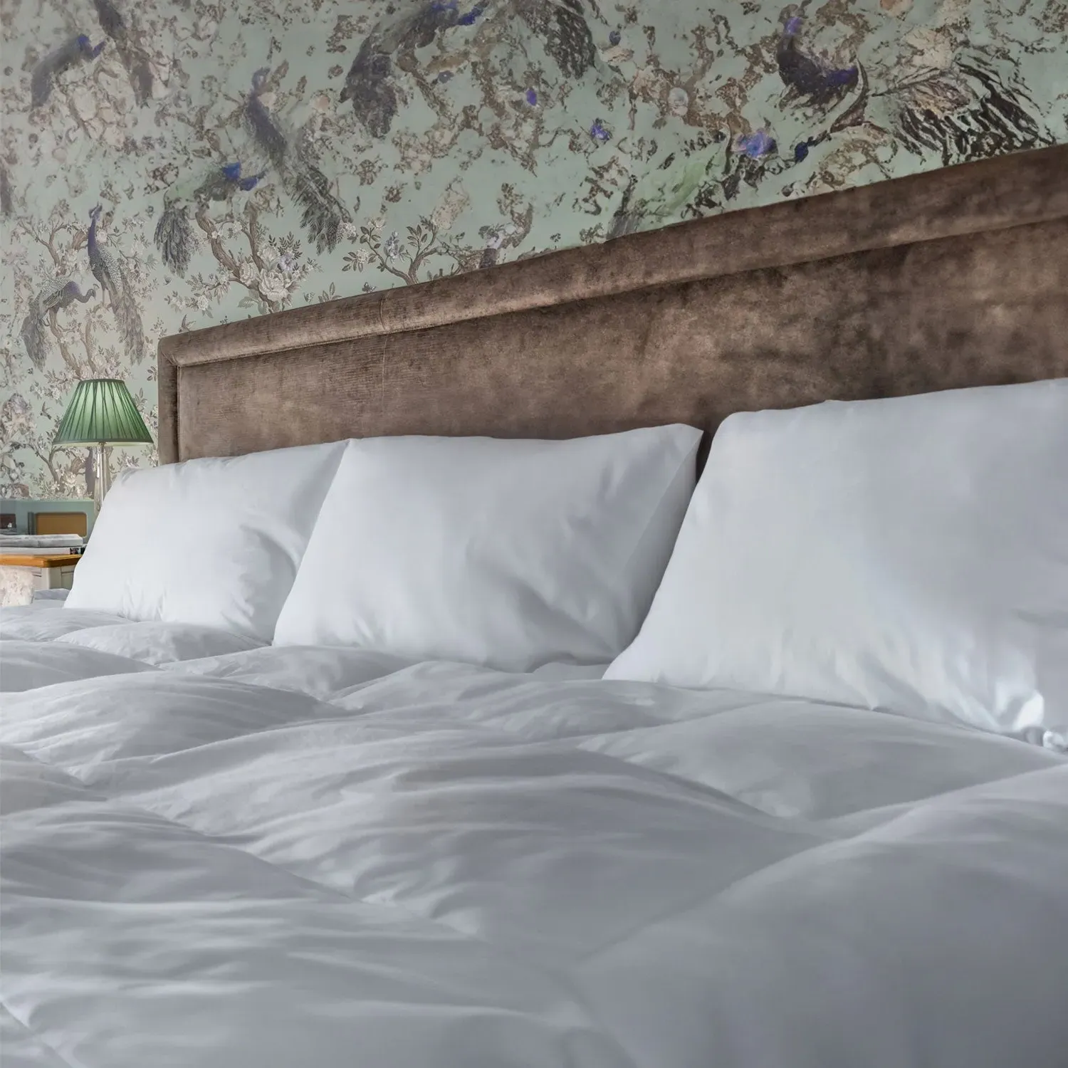 Laura Ashley Soft As Down Pillow - White, Cotton Percale product