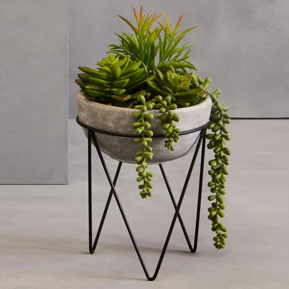 Mixed Succulent with Metal Stand - Grey, Ceramic