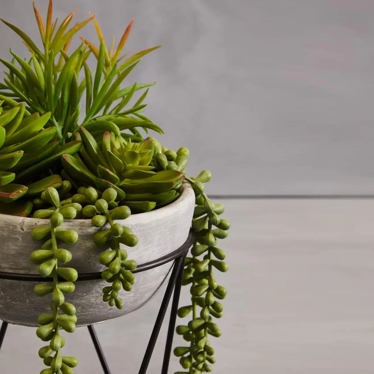 Mixed Succulent with Metal Stand - Grey, Ceramic