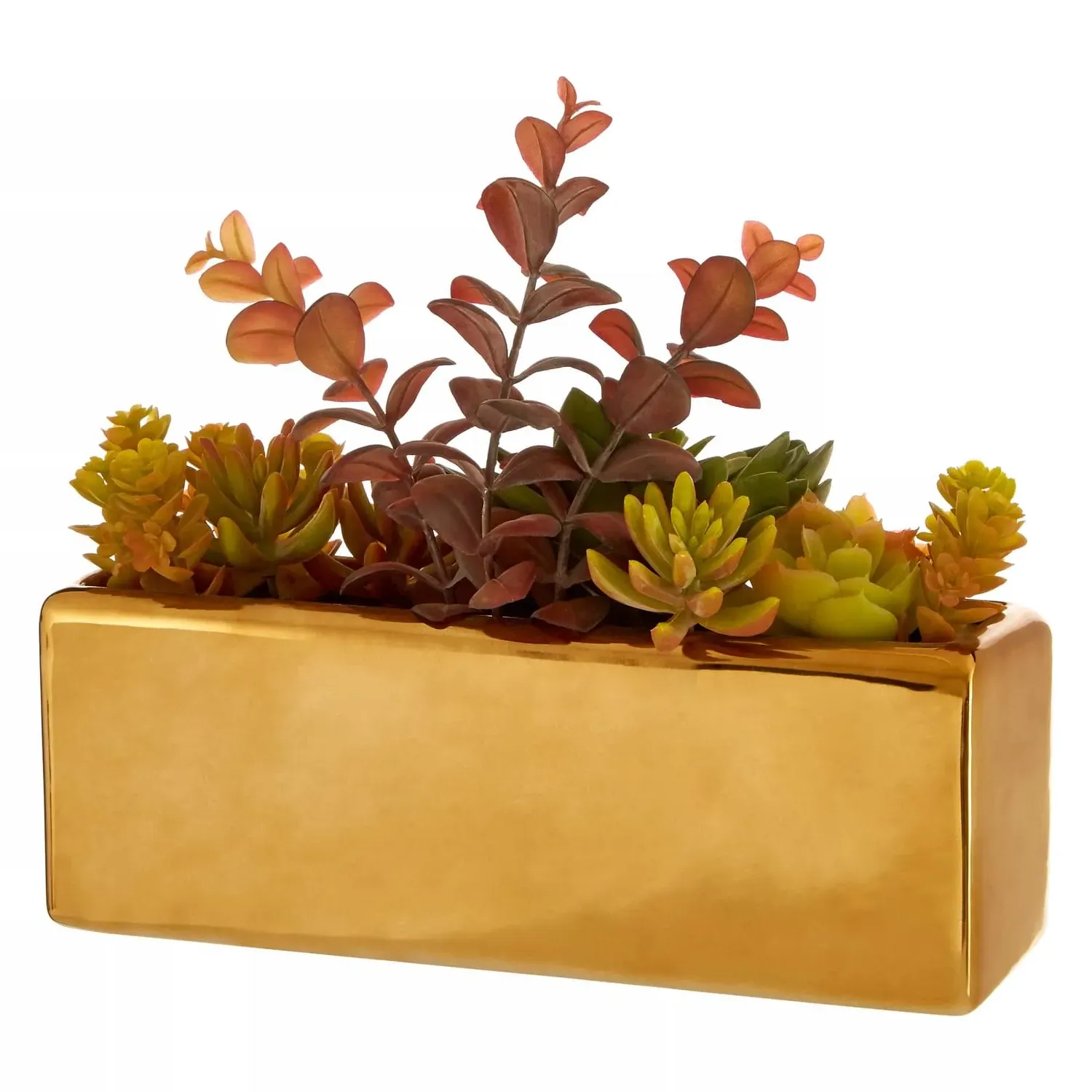 Mixed Succulents Arrangement - Gold, Ceramic