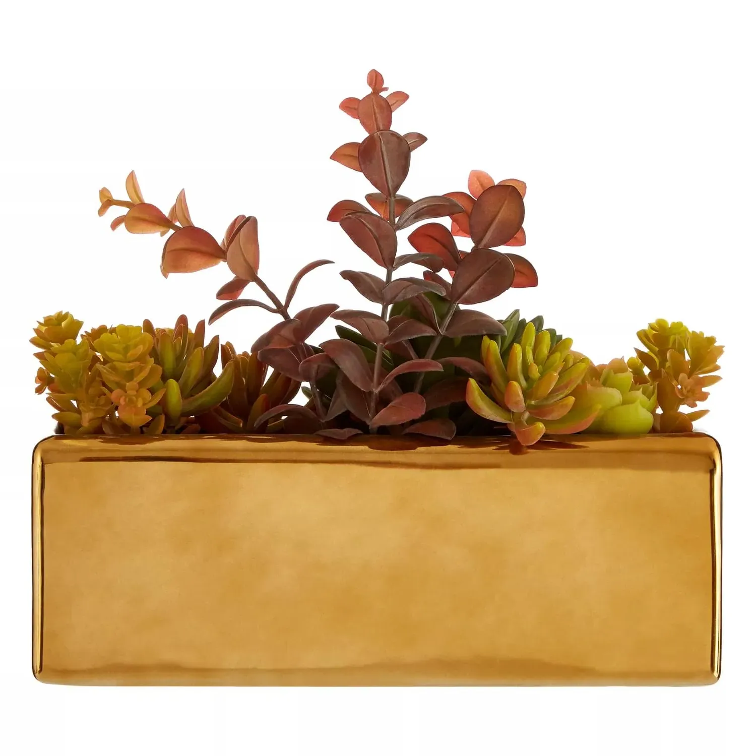 Mixed Succulents Arrangement - Gold, Ceramic