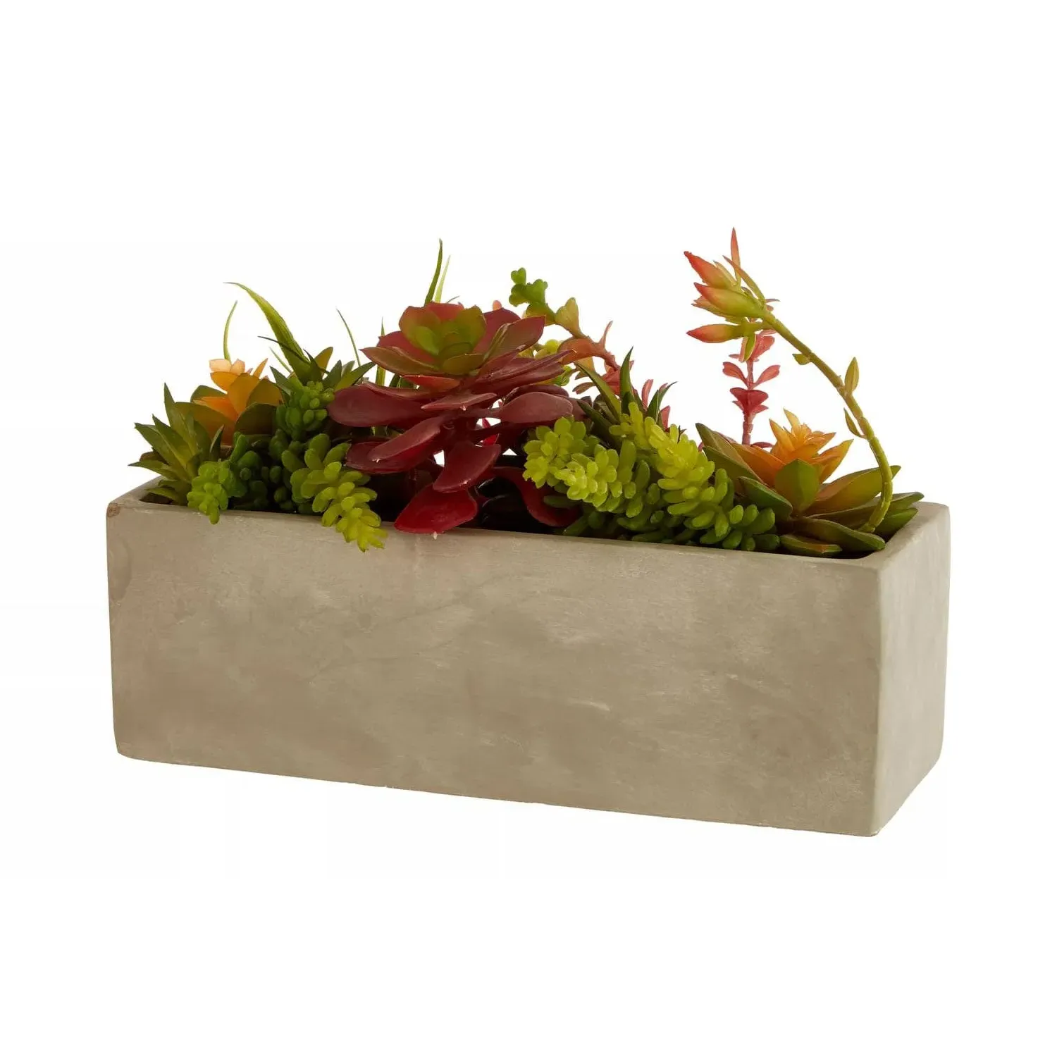 Mixed Succulents Arrangement - Multi, Cement