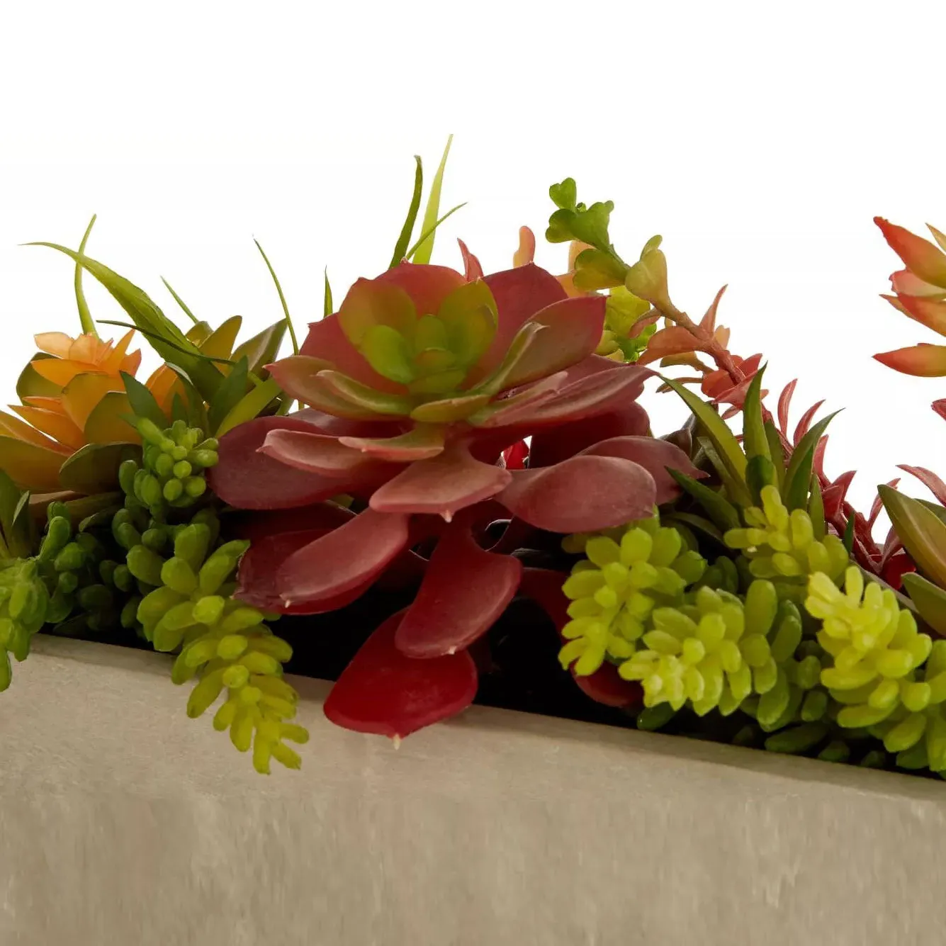 Mixed Succulents Arrangement - Multi, Cement