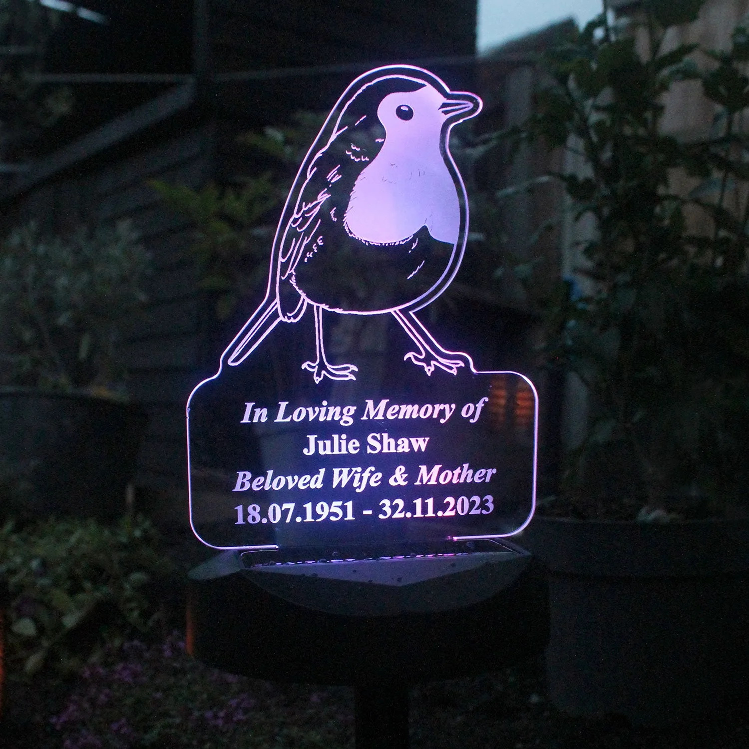 Personalised Robin Solar LED Light - Clear alternate view