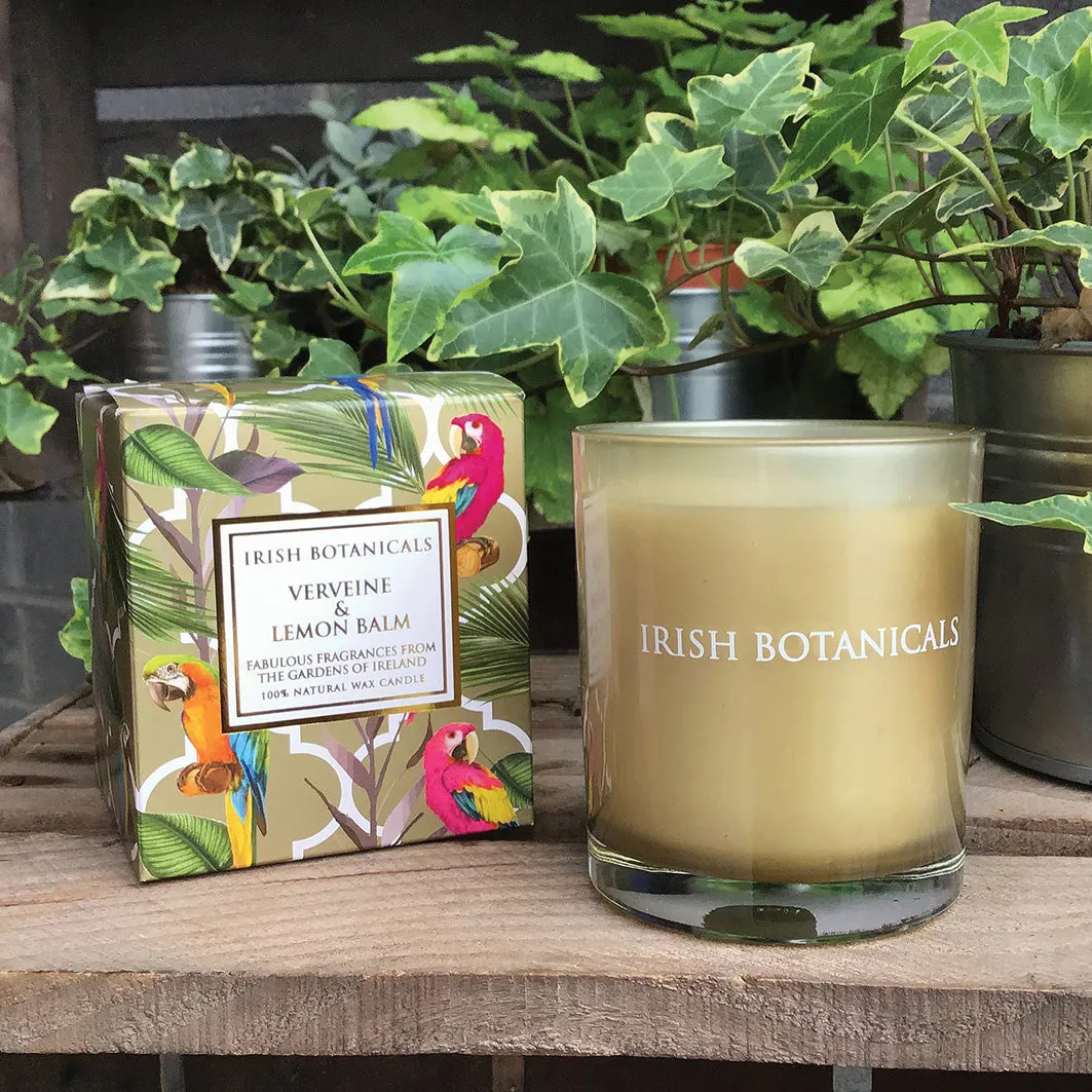Scented Candle Verveine Lemon Balm - Gold