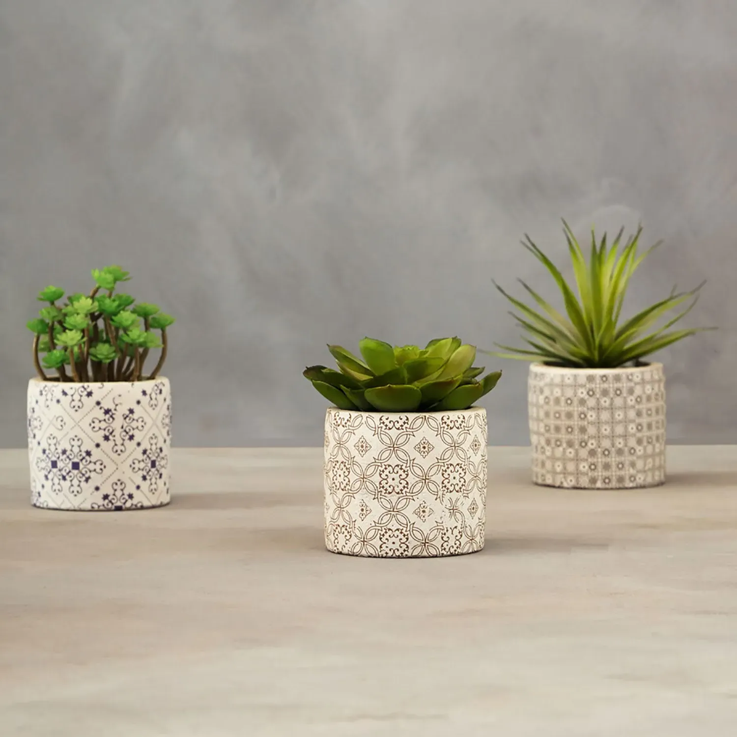 Set of 3 Artificial Succulents - Green, Ceramic image