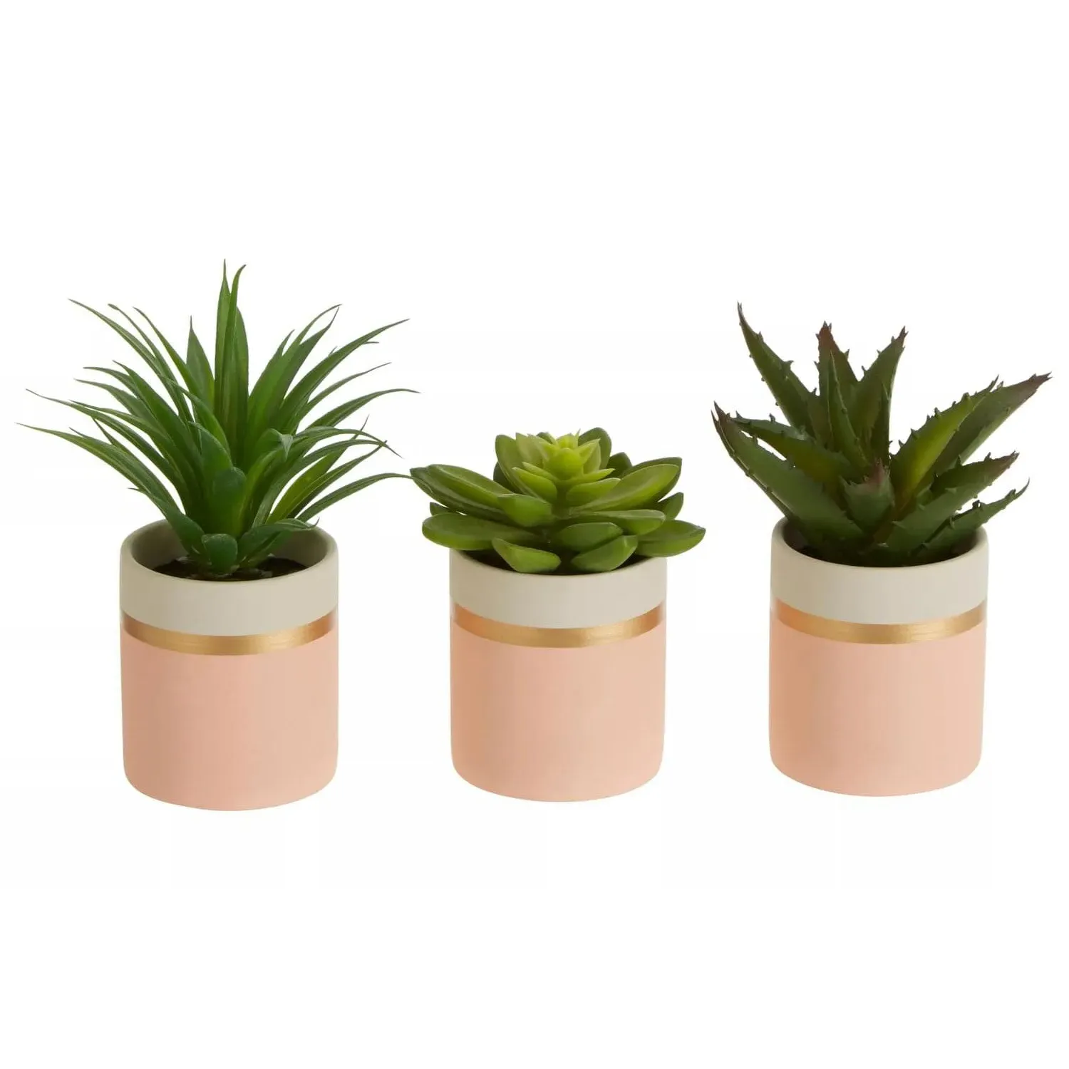 Set of 3 Potted Succulents - Pink, Ceramic image