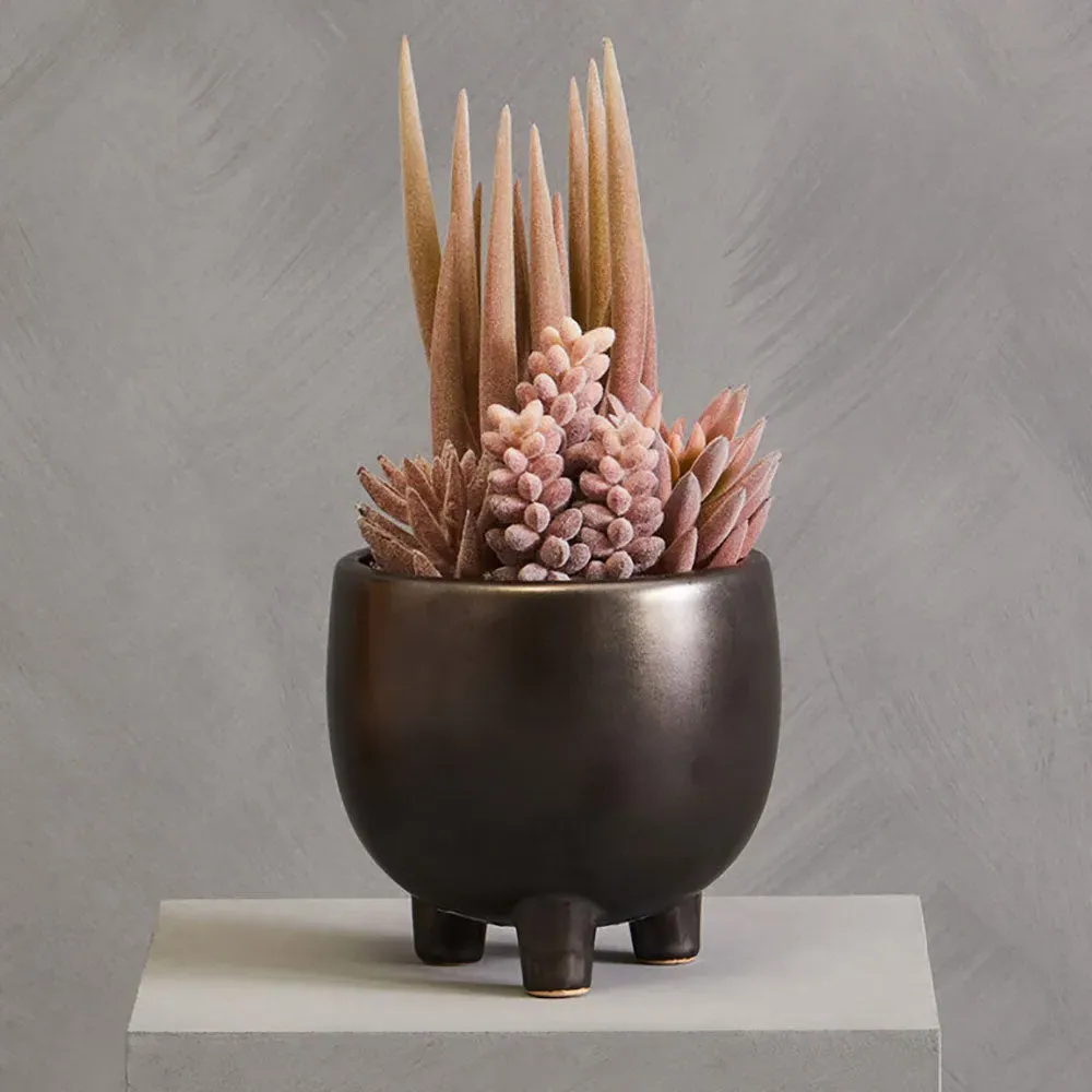 Small Mixed Succulents Arrangement - Grey, Ceramic