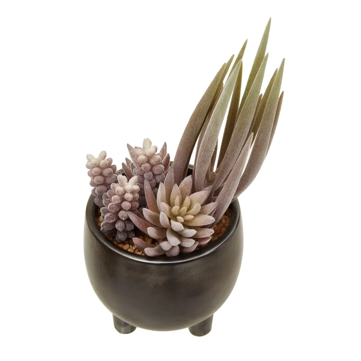 Small Mixed Succulents Arrangement - Grey, Ceramic image