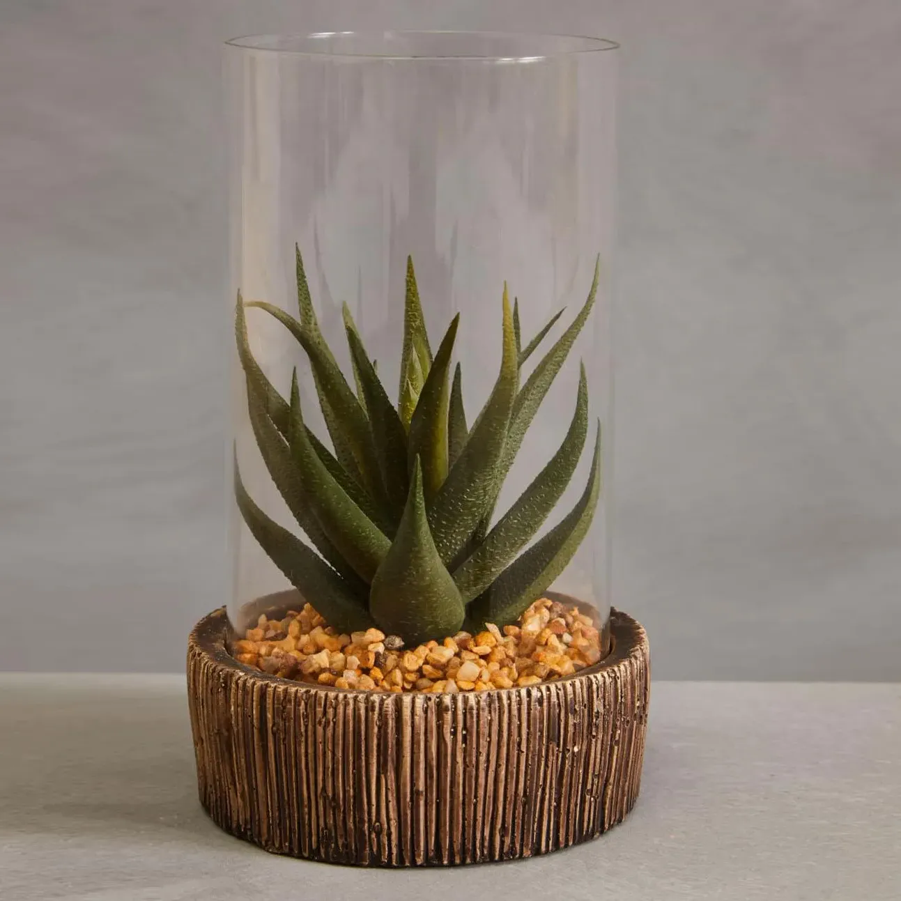 Small Succulent Display Cover - Green, Stone