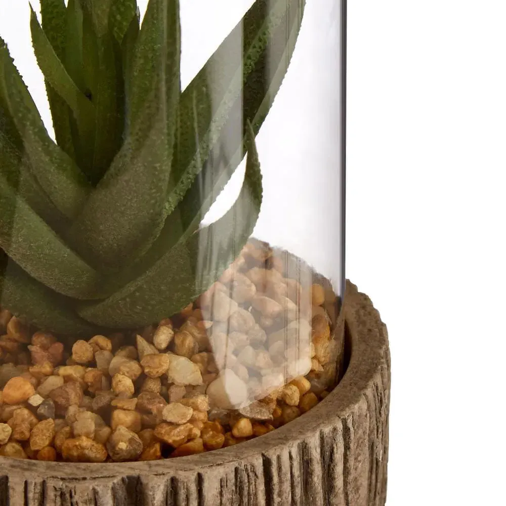 Small Succulent Display Cover - Green, Stone image