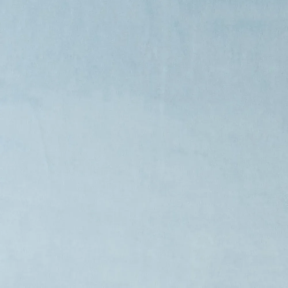 Rose French Country Daybed - Light Blue, Velvet