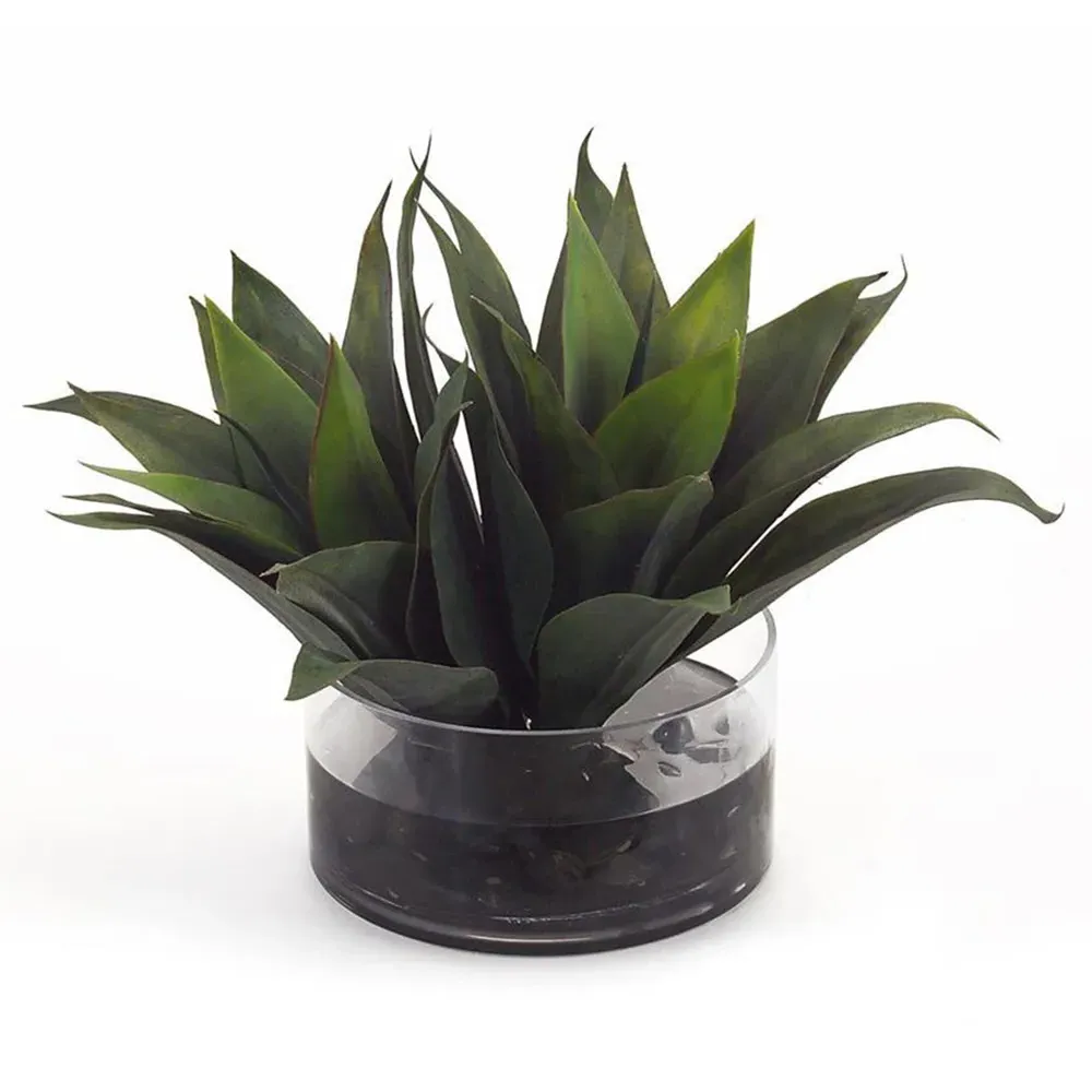 Aqua Agave Artificial Plant - Green, Glass image