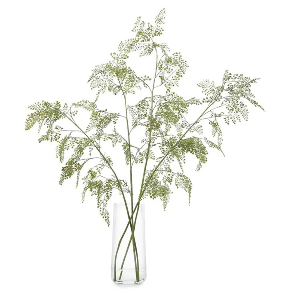 Aqua Fern Artificial Plant - Green, Glass