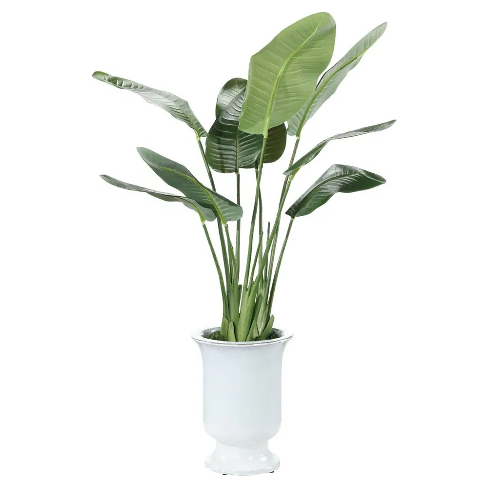 Bird Of Paradise Faux Floral Planter - Green, Ceramic