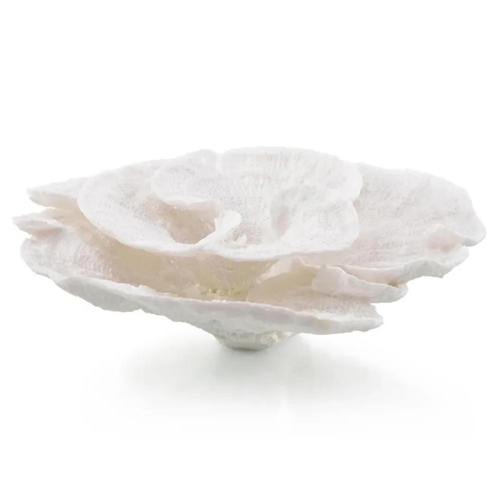 Foliose Coral Decorative Object - White image