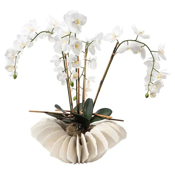 John-Richard Sea Coral Orchid Arrangement - White image