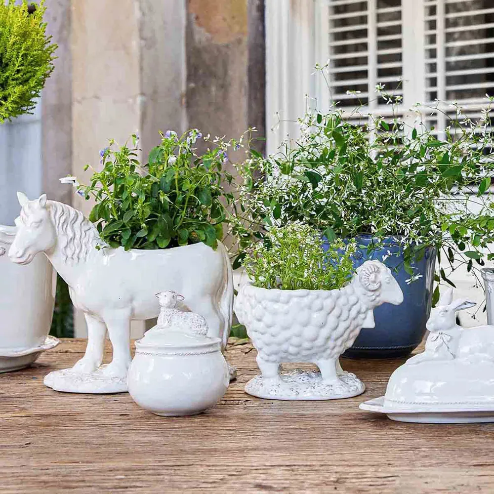 Clever Creatures Turtle Salt & Pepper Set - White, Ceramic